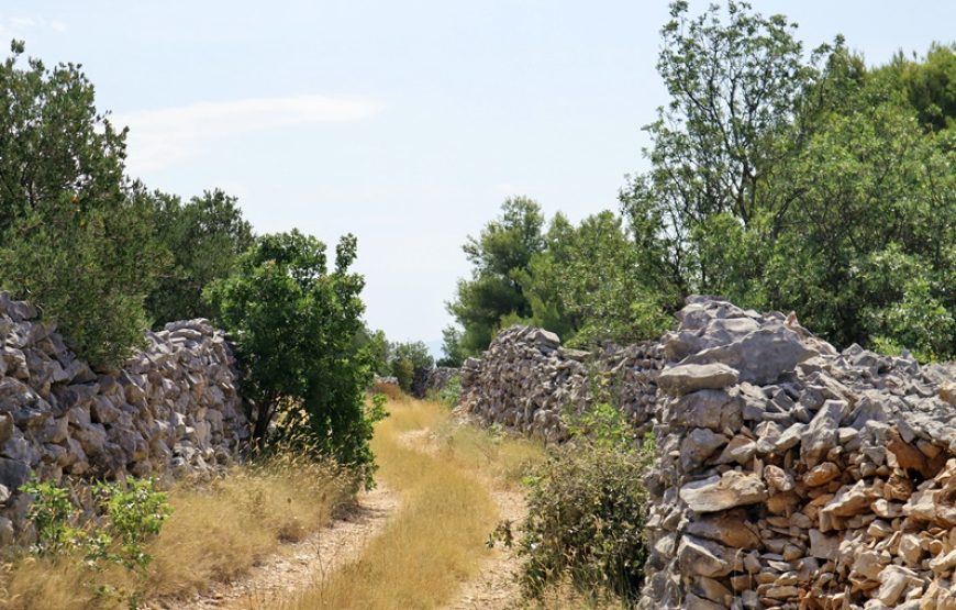 Team building u Zadru – 1 dan – Izlet brodom i večera s pićem uz glazbu
