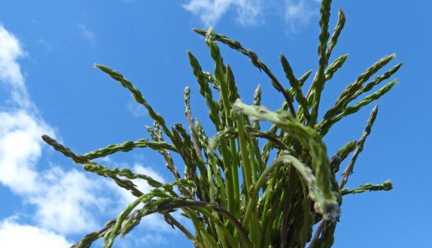 Turistička agencija