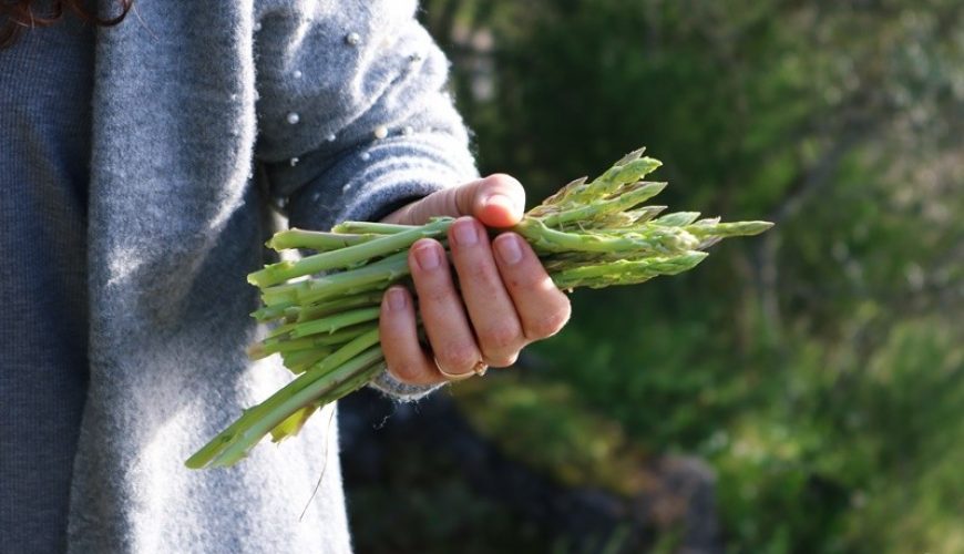 Turistička agencija