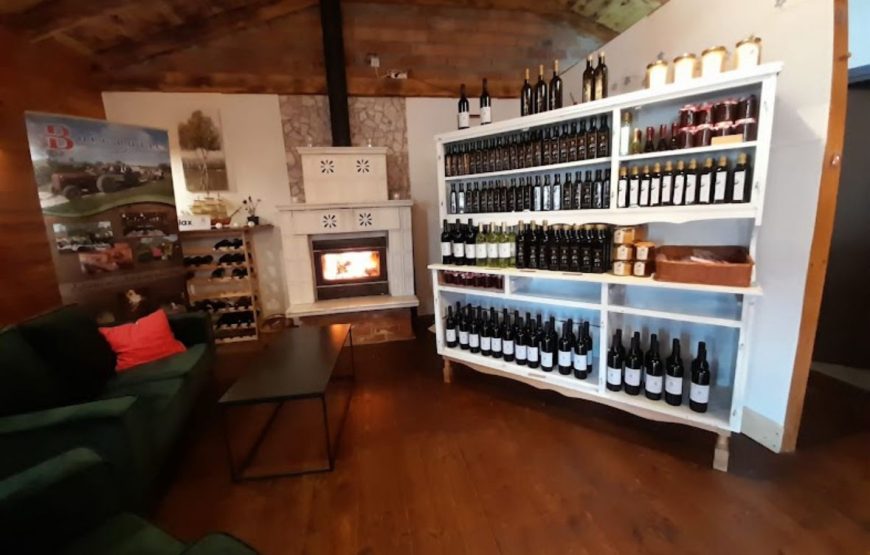 Team building u Zadru – 1 dan – Izlet brodom i večera s pićem uz glazbu