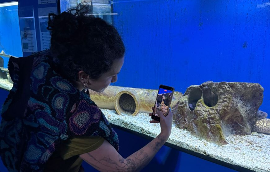 Grad Krk i špilja Biserujka