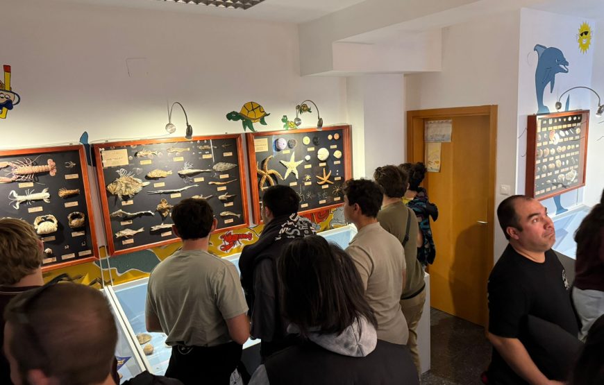 Grad Krk i špilja Biserujka