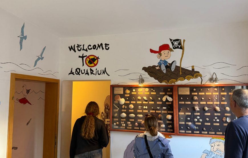 Grad Krk i špilja Biserujka