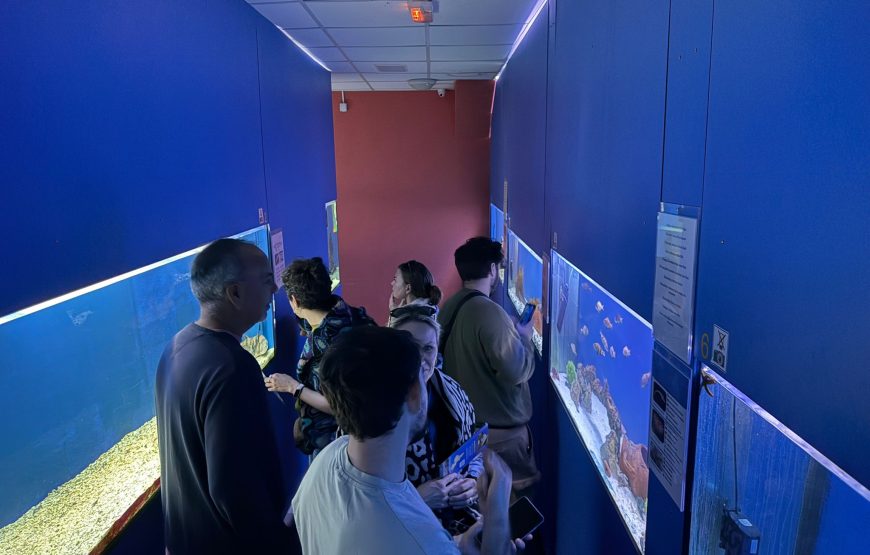 Grad Krk i špilja Biserujka